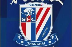 开云下载-申花主场遭遇不敌，中超积分榜前进缓慢