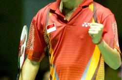 开云下载-法国羽毛球队轻取印度羽毛球队，陶菲克关键制胜的简单介绍