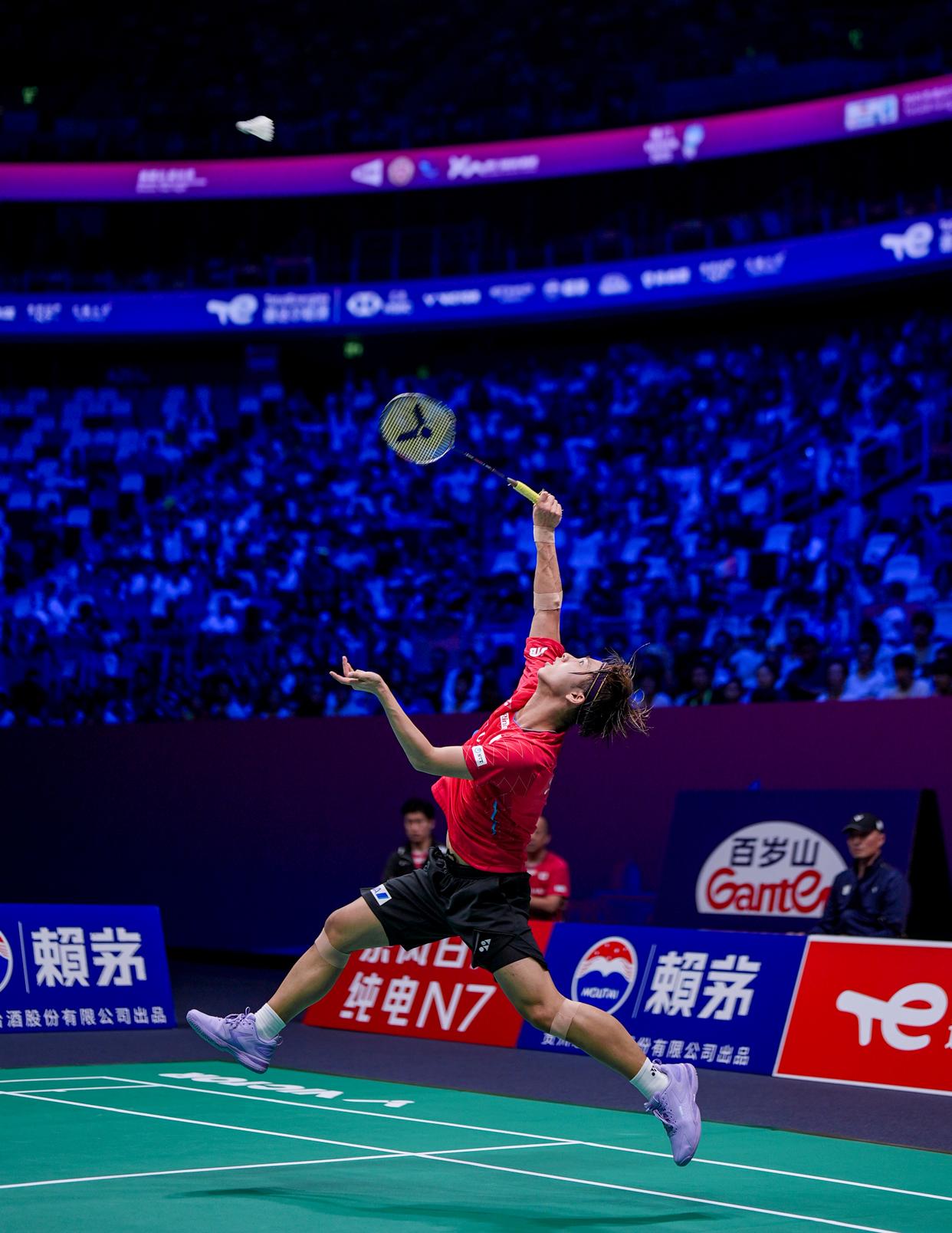 法国羽毛球队绝杀马来西亚羽毛球队,戴资颖统治全场的简单介绍 法国羽毛球队绝杀马来西亚羽毛球队,戴资颖统治全场的简单介绍