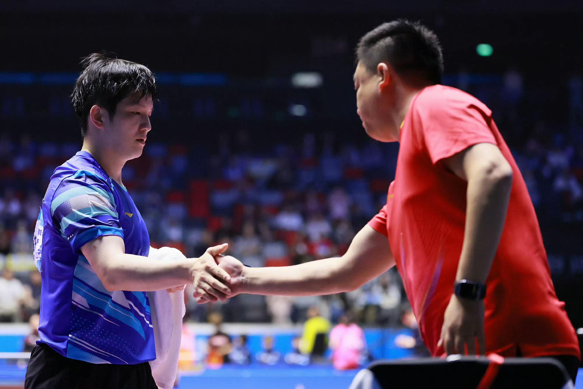 英格兰队横扫韩国队，樊振东关键制胜